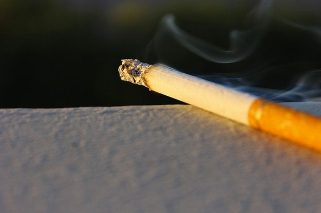Le tabac naturel sans additifs est-il moins nocif ?